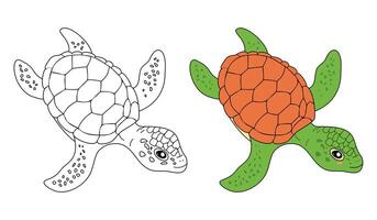 coloração página com desenho animado tartaruga vetor