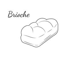 brioche pão. esboço ícone para padaria comprar, ou Comida projeto, cardápio, e padaria fazer compras rótulo. ilustração. vetor