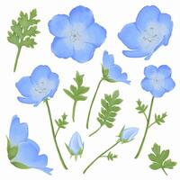 fofa aguarela nemophila flores - bebê azul olhos - baixar florais vetor