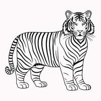 lindo tigre linha arte coloração Páginas vetor