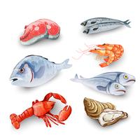 Conjunto de produtos de frutos do mar vetor