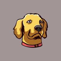 dourado retriever mascote logotipo ilustração vetor