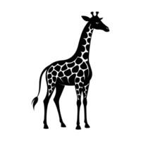 uma girafa com uma Preto e branco desenhando em branco fundo vetor