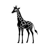 uma girafa com uma Preto e branco desenhando em branco fundo vetor