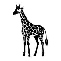 uma girafa com uma Preto e branco desenhando em branco fundo vetor