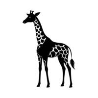 uma girafa com uma Preto e branco desenhando em branco fundo vetor