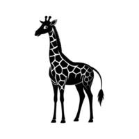 uma girafa com uma Preto e branco desenhando em branco fundo vetor