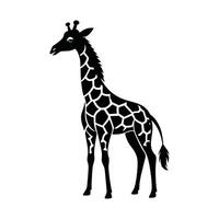 uma girafa com uma Preto e branco desenhando em branco fundo vetor