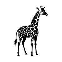 uma girafa com uma Preto e branco desenhando em branco fundo vetor