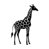 uma girafa com uma Preto e branco desenhando em branco fundo vetor