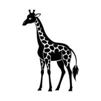 uma girafa com uma Preto e branco desenhando em branco fundo vetor