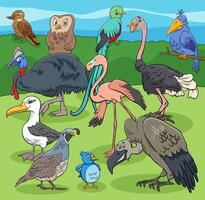 pássaros animais personagens grupo cartoon ilustração vetor