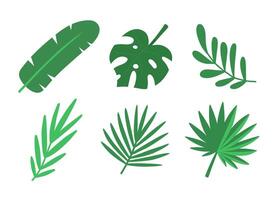 tropical folhas definir. plano ilustração isolado em branco fundo. vetor