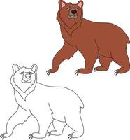 Urso clipart definir. desenho animado selvagem animais clipart conjunto para amantes do animais selvagens vetor