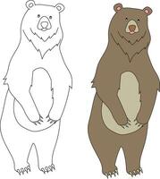 Urso clipart definir. desenho animado selvagem animais clipart conjunto para amantes do animais selvagens vetor