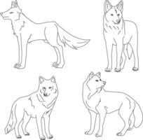 Lobo clipart definir. desenho animado selvagem animais clipart conjunto para amantes do animais selvagens vetor