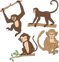 macaco clipart definir. desenho animado selvagem animais clipart conjunto para amantes do animais selvagens vetor