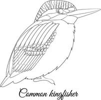 comum martinho pescatore desenho animado pássaro coloração ilustração vetor