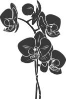 ai gerado silhueta orquídea flor Preto cor só vetor