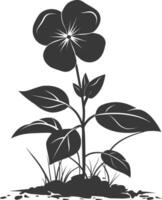 silhueta pervinca flor dentro a terra Preto cor só vetor