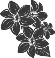 silhueta plumeria flor Preto cor só vetor