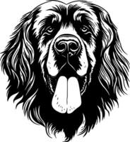 Leonberger, Preto e branco ilustração vetor