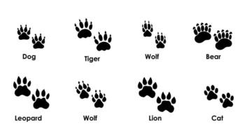 conjunto do diferente silhuetas do animal patas - cachorro, gato, tigre, Raposa, urso, leão, lobo, leopardo. ilustração vetor