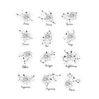 12 zodíaco sinais com lua, flor e estrelas. celestial constelações vetor