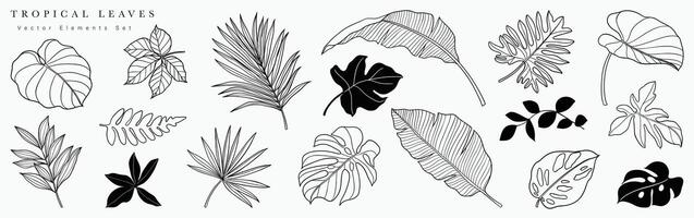 tropical folhas mão desenhado linha arte e silhueta definir. coleção do folha filial, monstro, Palma folhas Preto branco desenhando contorno simples estilo. Projeto ilustração para imprimir, logotipo, branding. vetor