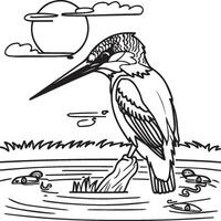 martinho pescatore coloração página. uma Preto e branco desenhando do martinho pescatore vetor