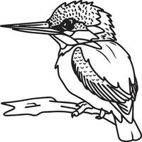 martinho pescatore coloração página. uma Preto e branco desenhando do martinho pescatore vetor
