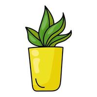 arbusto exuberante com folhas largas em um vaso de flores amarelo, planta caseira em estilo doodle vetor