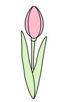 abstrato estilizado tulipa flor dentro na moda suave marcador tons. Projeto elementos para Primavera saudações vetor