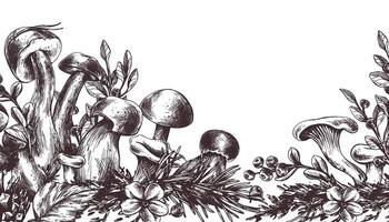 floresta cogumelos, boleto, chanterelles e amoras, mirtilos, galhos, cones, folhas. gráfico ilustração mão desenhado dentro Preto tinta. fronteira, modelo eps . vetor