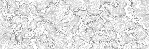 contorno topográfico mapa. mapa do alturas padronizar com ondulado linhas, contornado alívio textura com topográfico montanhas, topografia planícies fundo vetor