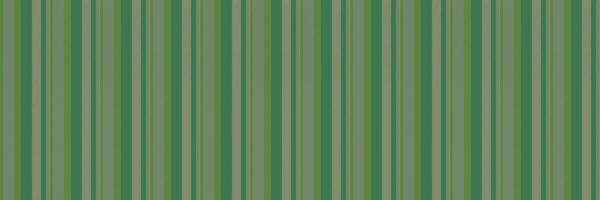 hortelã fundo listra textura, modelo padronizar linhas desatado. identidade tecido vertical têxtil dentro verde e pastel cores. vetor