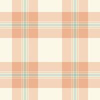 tartan têxtil desatado do textura padronizar fundo com uma tecido xadrez verificar. vetor