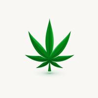 folha de cânhamo, símbolo da maconha, erva cannabis, ícone de vetor isolado, modelo de logotipo.