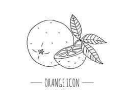 ilustração em vetor preto e branco de laranja isolada no fundo branco. ícone de frutas cítricas. conceito de fruta. ilustração de alimentos frescos.