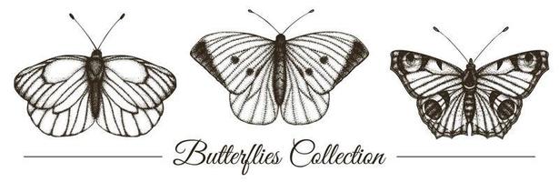 conjunto de vetores de borboletas preto e brancas desenhadas à mão. gravura de ilustração retro. insetos realistas isolados no fundo branco. desenho gráfico detalhado em estilo vintage