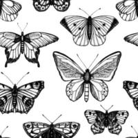 padrão sem emenda de vetor de borboletas preto e brancas de mão desenhada. gravura de ilustração retro. fundo de repetição com inseto realista. desenho gráfico detalhado em estilo vintage