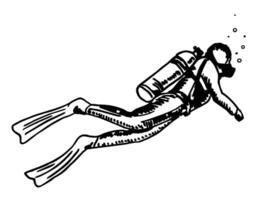 mergulho mergulhador isolado em branco fundo. a conceito do esporte mergulhando. mão desenhado vintage gravado ilustração vetor
