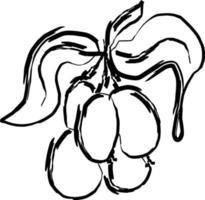 ramo de azeitonas ramo com folhas e azeitonas vetor de azeitonas doodle pincel contorno preto