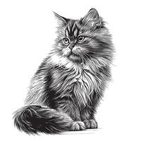 fofo gato mão desenhado esboço ilustração vetor