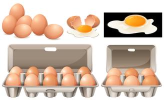 Ovos crus em pacotes diferentes vetor