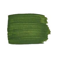 acrílico Sombrio verde textura, escova AVC, mão desenhando isolado em branco fundo. vetor