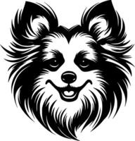 Pomerânia, Preto e branco ilustração vetor