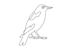 pássaro solteiro linha desenhando digital ilustração vetor
