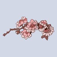 festivo sakura isolado em branco fundo. oriental tradicional, esboço ilustração. japonês, chinês, coreano na moda projeto, celebração evento cumprimento cartão festa convite poster folheto vetor