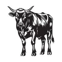 Preto vaca projeto, arte, ícones, e gráficos, vaca em branco fundo vetor